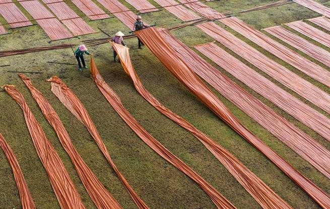 广西蒙山：晾晒香云纱