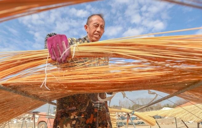 浙江长兴：竹子加工助力乡村振兴