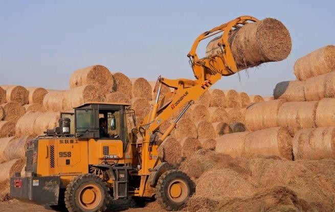 江苏海安：稻草回收 环保增收