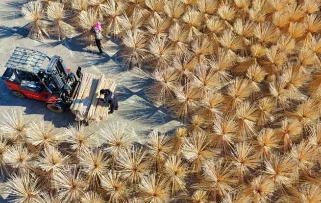 江西广昌：竹产业助农增收