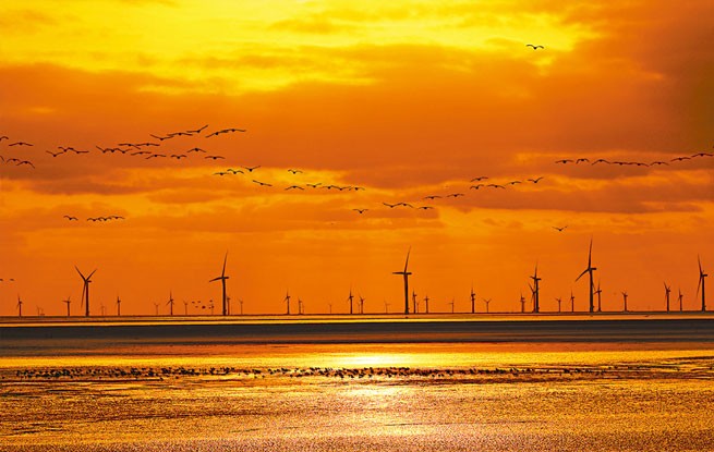 逾山越海 逐风而行（新时代画卷）