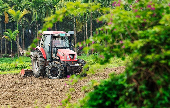 海南琼海：好雨知时节 春雨伴春耕