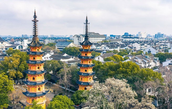 江苏苏州：玉兰花开映双塔