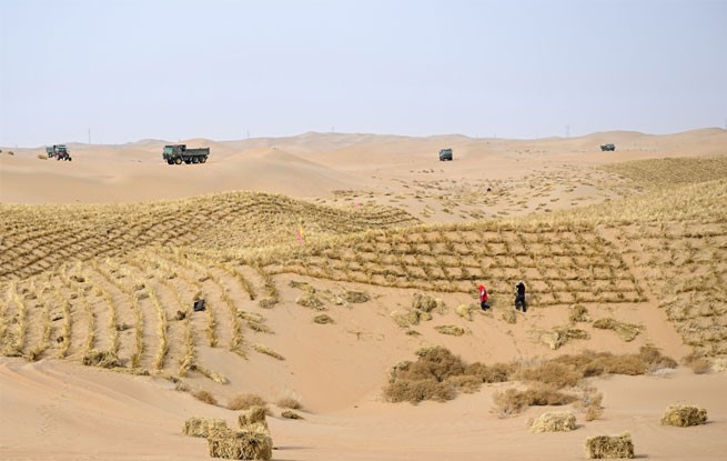 内蒙古阿拉善盟：2026年防沙治沙工程开工