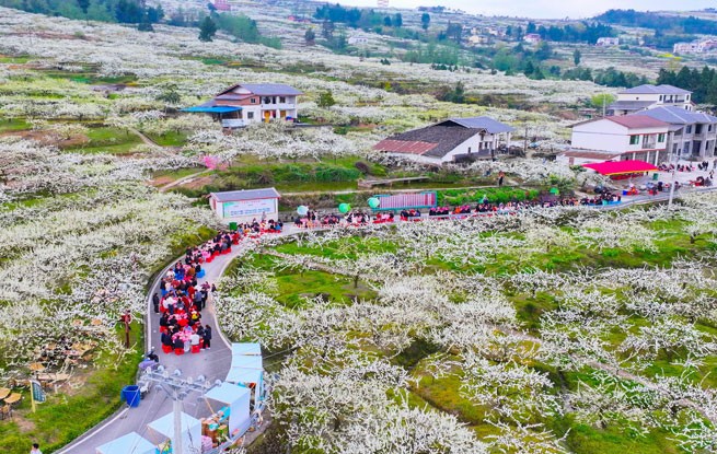 四川宣汉：以“花”为媒 乐游乡村