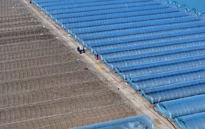 安徽蒙城：管护西瓜大棚