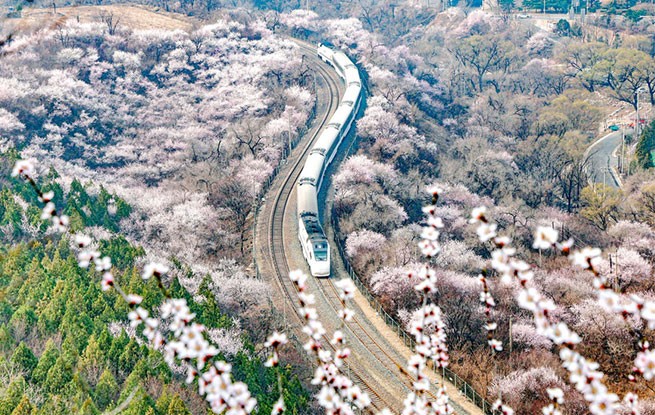 北京：开往春天的列车