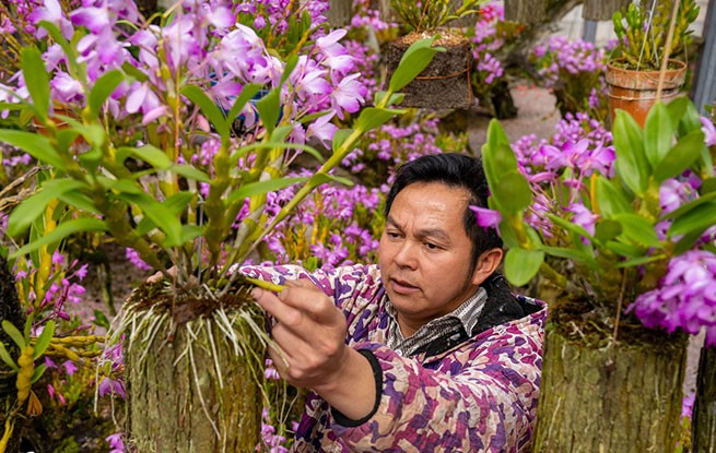 广西金秀：特色产业拓宽增收路