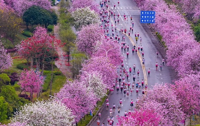广西柳州：花海赛道上演全民跑