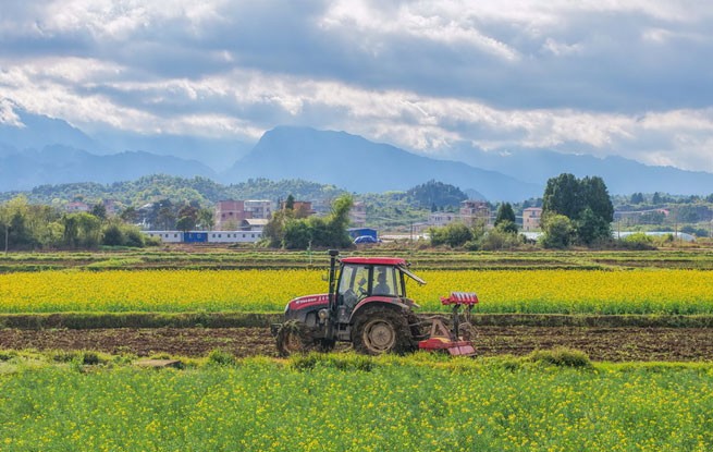 湖南道县：翻耕农田