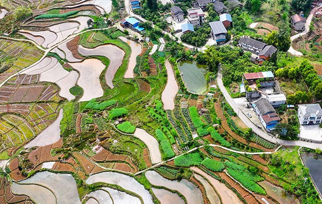 重庆：梯田美如画