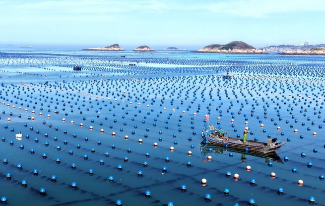 福建连江：碧波耕耘