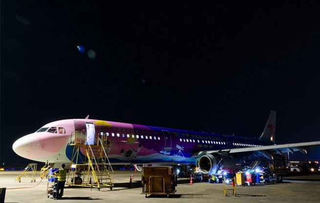 海南：飞机“全面体检” 护航消博会