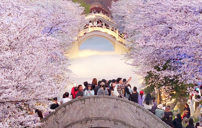 江苏南通：梦幻岛夜色美