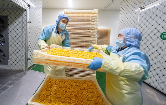 湖北秭归：橙皮深加工 助果农增收