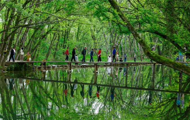 安徽黄山：春风又绿西溪南