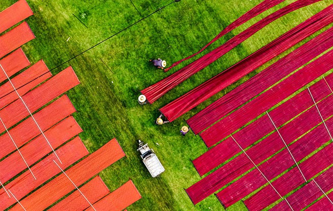 广西梧州：晾晒香云纱