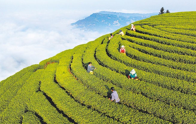 兴业富民 乡村和美（在中国·看中国）