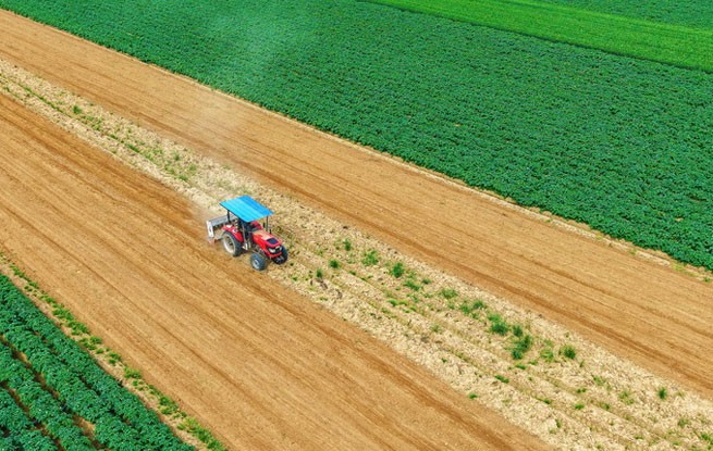 河南南阳：谷雨春耕图