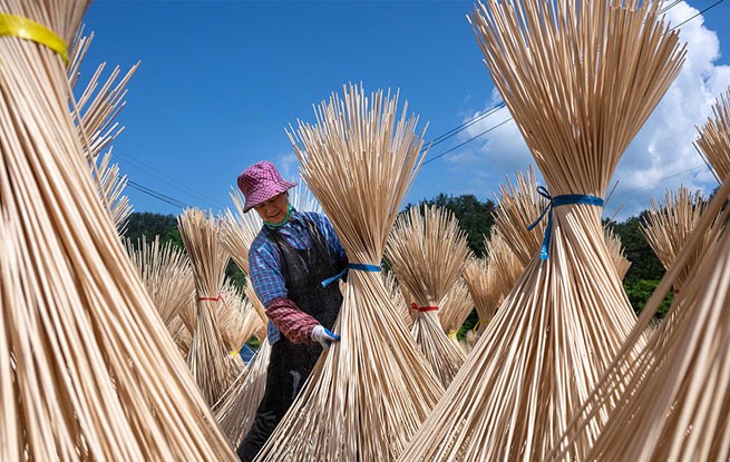 安徽旌德：“以竹代塑”助农增收
