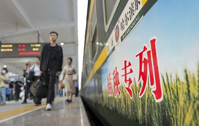黑龙江：“插秧客”搭乘专列奔赴沃土逐农忙