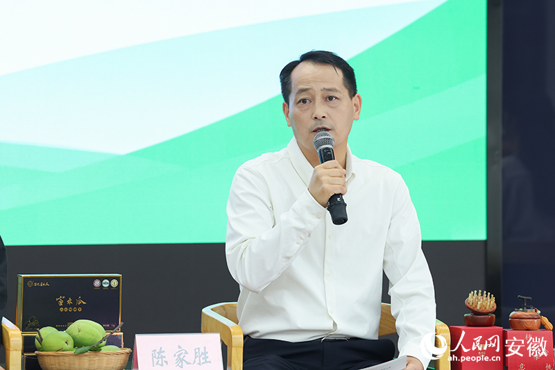 宣木瓜古法炮制技艺代表性传承人陈家胜推介宣城宣木瓜。人民网记者 张俊摄