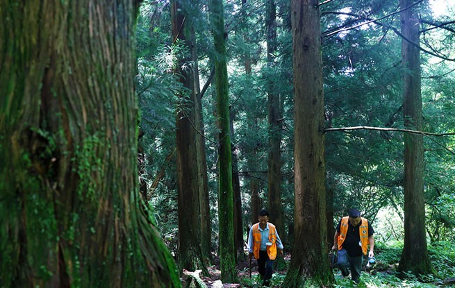 重庆：巡山护林严防火