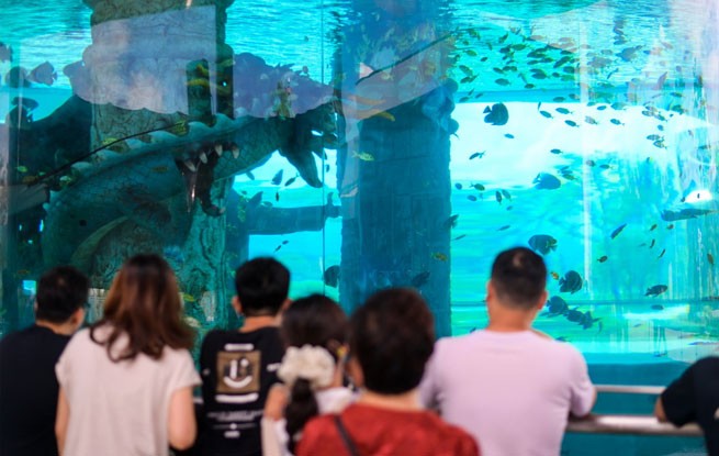 浙江桐庐：交旅融合 服务区变身“海底世界”