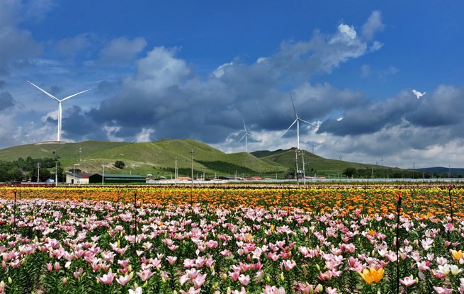 坝上风光