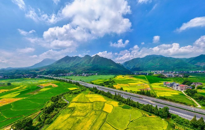湖南常宁：田园如画 丰收在望