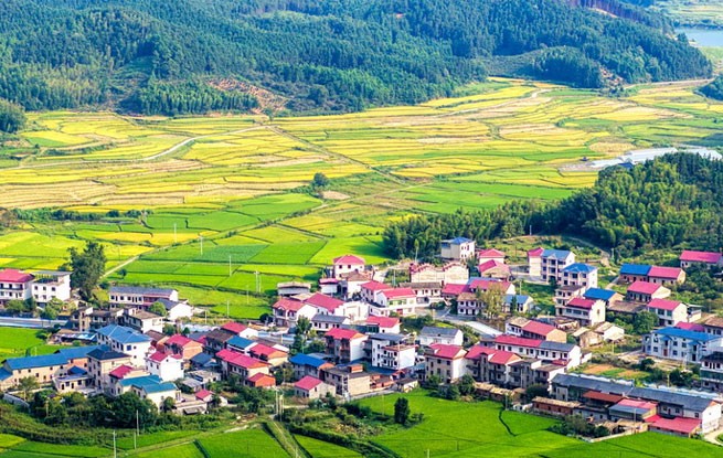 江西峡江：山乡秋意浓