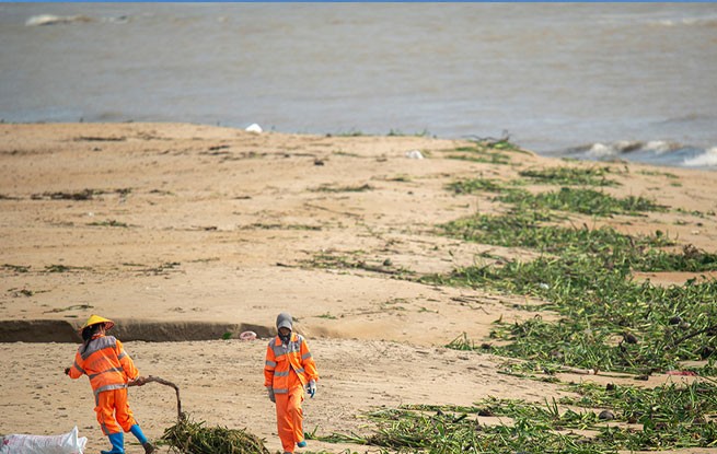 海南琼海：洁净海滩