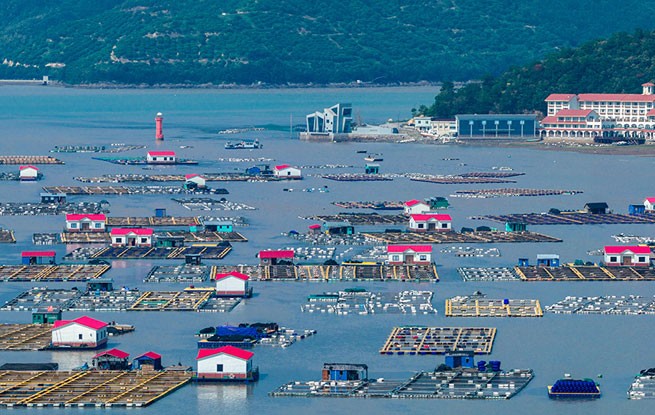 浙江宁波：海上“牧场”铺就共富路