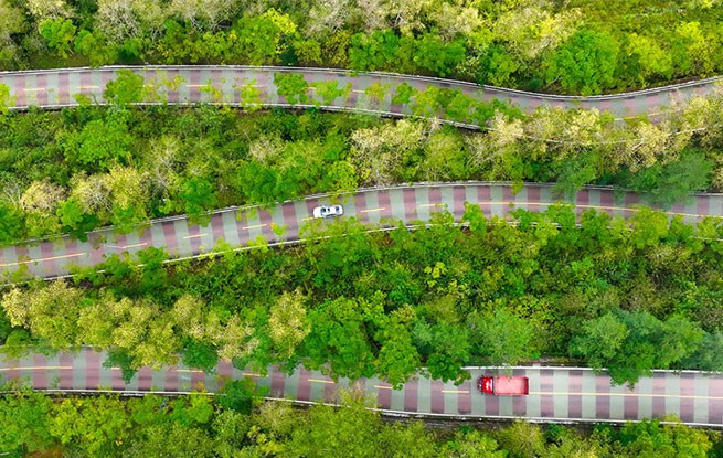 重庆：乡村公路美如画